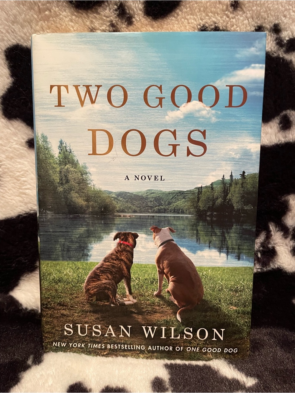 Two Good Dogs by Susan Wilson Hardback Book